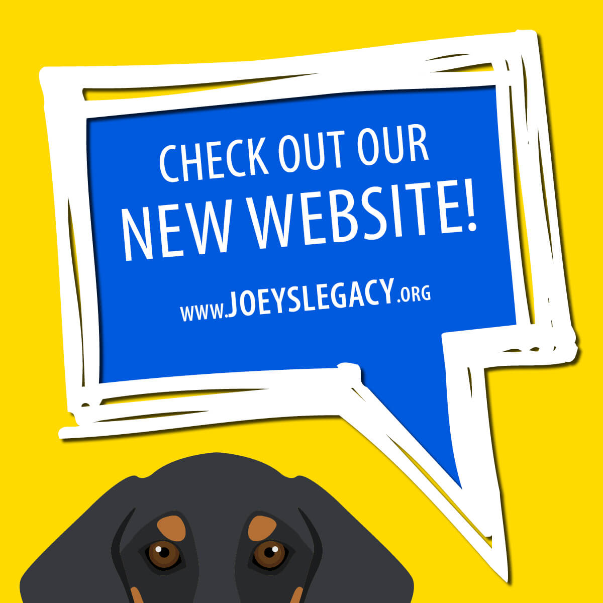 Joey's Legacy Social Media Post Check Out Our New Website. www.joeyslegacy.org